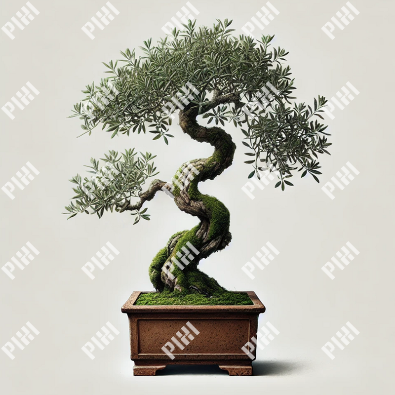 盆栽132
