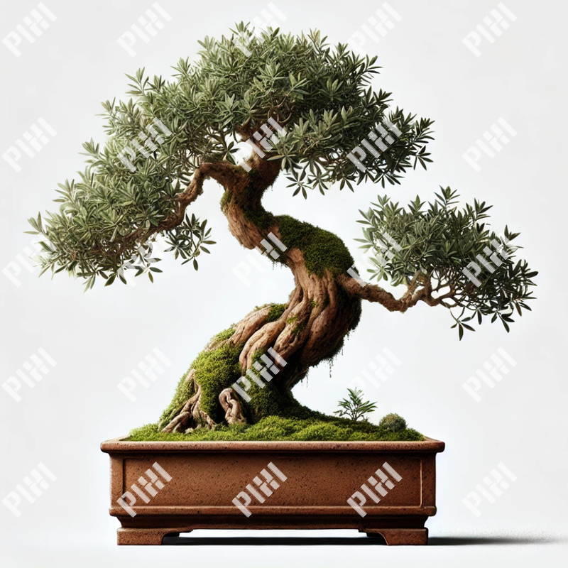 盆栽136